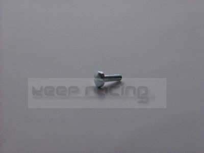 Schlitzschraube für Benzinfilterdeckel M 3,5 x 11 mm