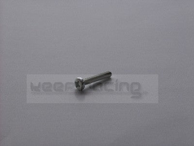ZK-Schraube für Pumpengehäuse M 4 x 20 mm