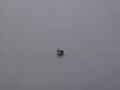 SK-Schlitzschraube für Gabelstück M 3 x 5 mm