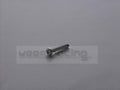 ZK-Schraube für Pumpengehäuse M 4 x 20 mm
