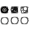 Reparatursatz, OEM DG-10HS, für Tillotson HS-175F, HS-175G, HS-175H & HS-282A